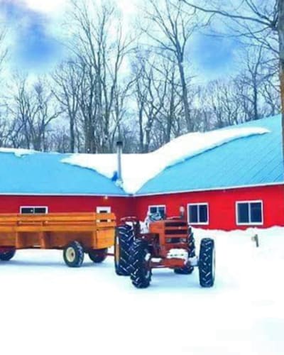 cabane_a_sucre_jacques_gregoire_1