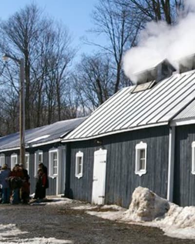 cabane_a_sucre_oswald_1