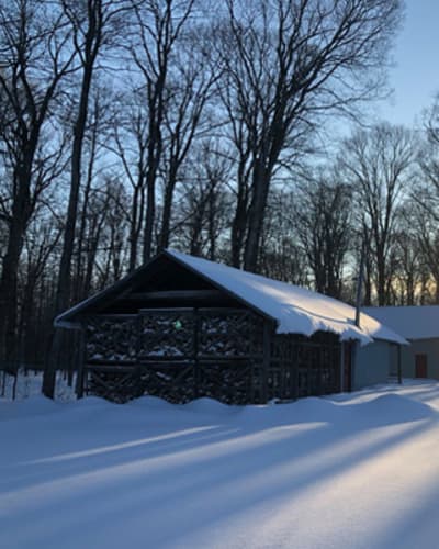 cabane_dupuis_1