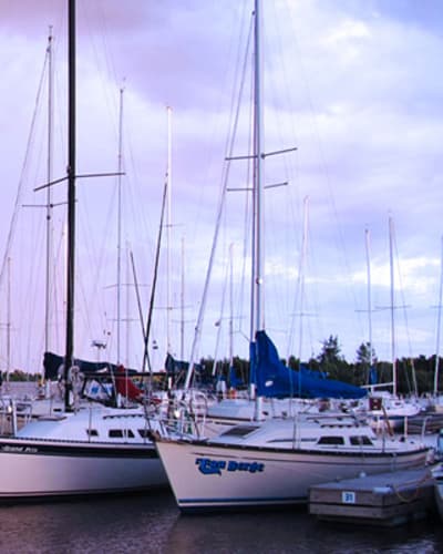 camping_de_la_marina_1