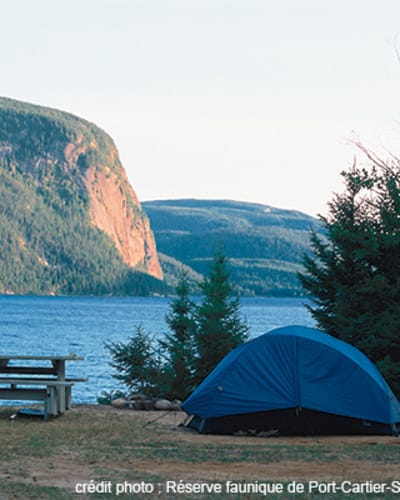 camping_de_la_reserve_faunique_de_port_cartiersept_iles_1