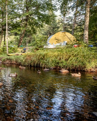 camping_stoneham_1
