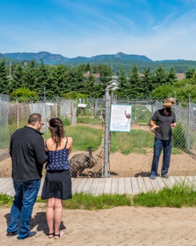 centre_de_lemeu_de_charlevoix_1