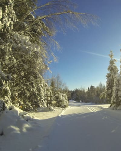 centre_de_ski_de_fond_gai_luron_1_h