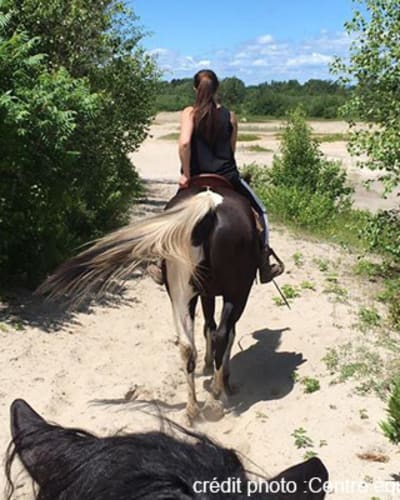 centre_dequitation_ranch_chez_real_1