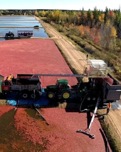 Cranberry Interpretation Centre