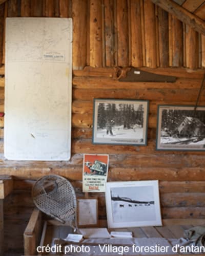 centre_dinterpretation_de_la_vie_en_foret_de_franquelin_1