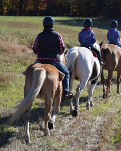 centre_equestre_aurelie_piche_1