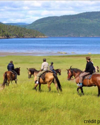 centre_equestre_des_plateaux_1