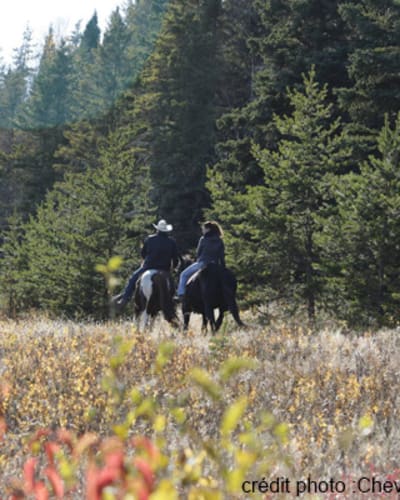 centre_equestre_nature_enr_1