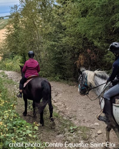 centre_equestre_saint_eloi_1