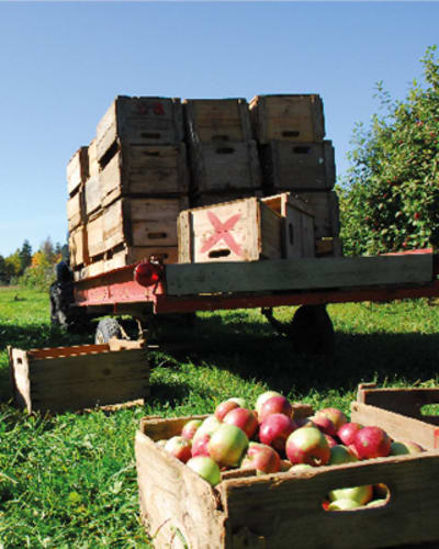 cidrerie_verger_pedneault___economusee_de_la_pomiculture_1