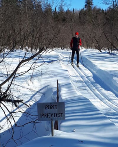 club_de_ski_de_fond_thetford_mines_1_h
