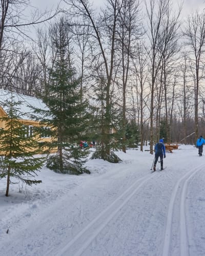 coureurs_de_boises_les_1_h