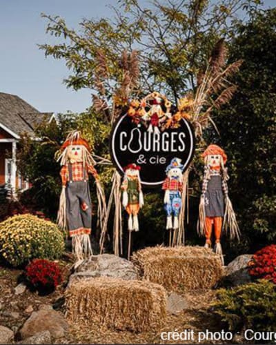 Courges & cie