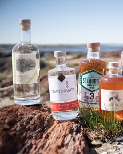 distillerie_des_marigots_1