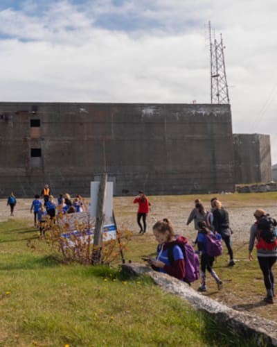 domaine_du_radar_1