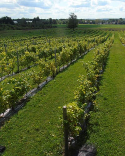 domaine_small_1