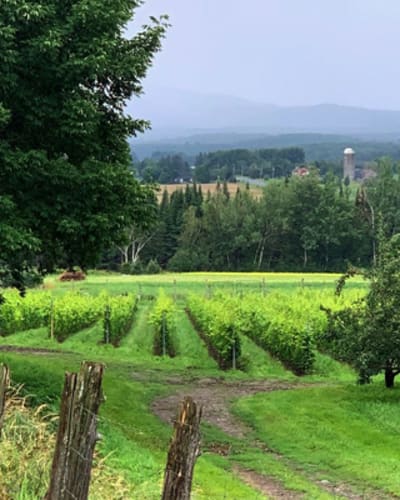 domaine_valbrome_1