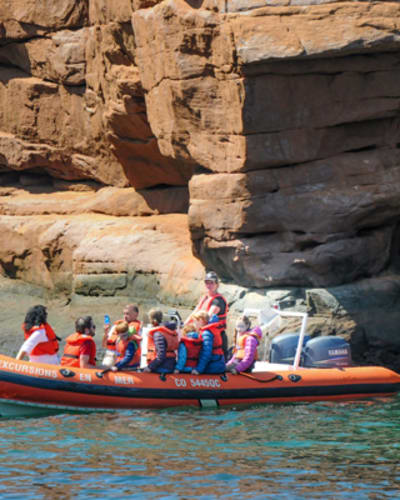 excursions_en_mer_inc_1