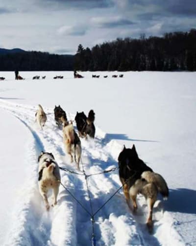 expedition_reve_blanc_1