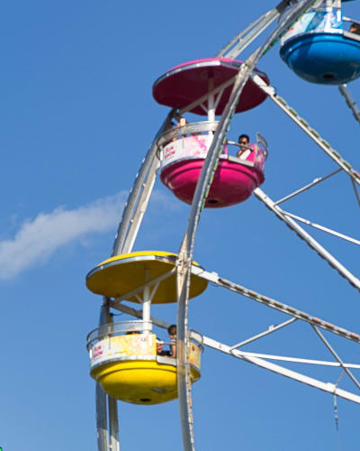 expo_brome_fair_1