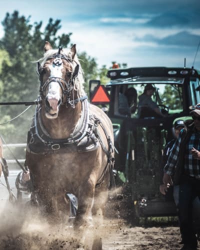 exposition_agricole_de_la_mrc_de_becancour_1
