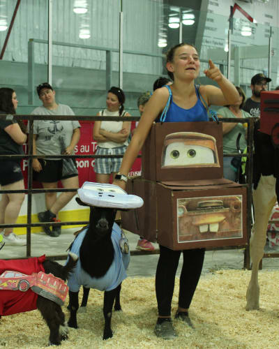 exposition_agricole_du_temiscamingue_1
