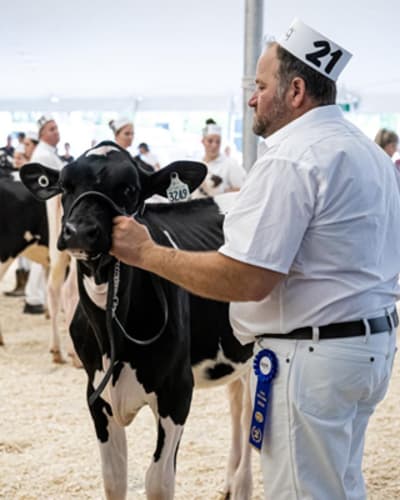 exposition_agricole_regionale_rive_nord_1
