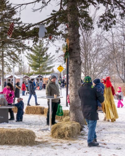 feerie_au_lac_du_village_1