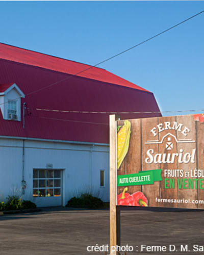 ferme_d_m_sauriol_1