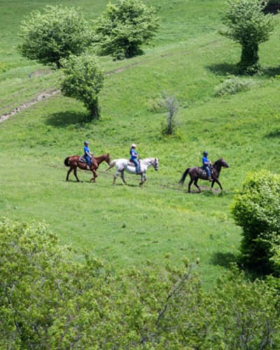 ferme_du_joual_vair_1