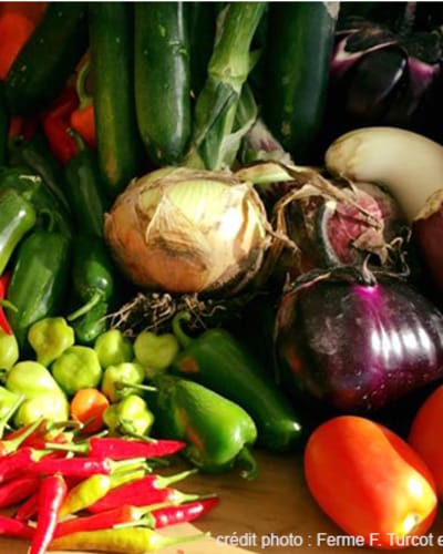 ferme_f_turcot_et_fils_1