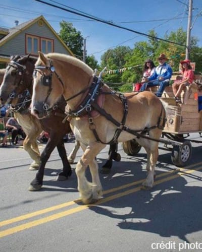 Festival du Boeuf d'Inverness