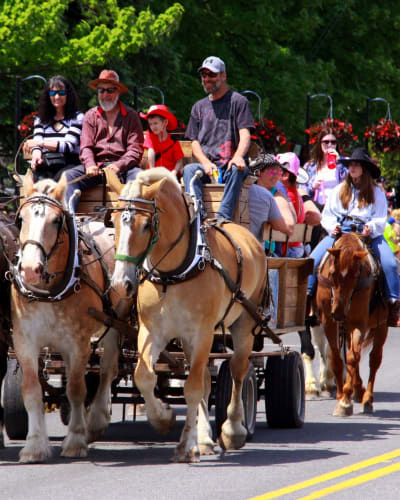festival_du_cheval_de_princeville_1