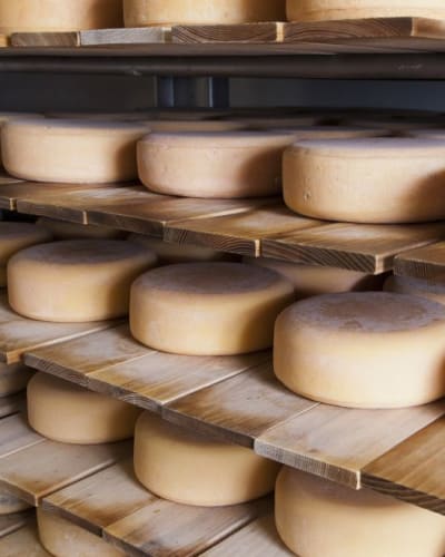 fromagerie_des_cantons_1