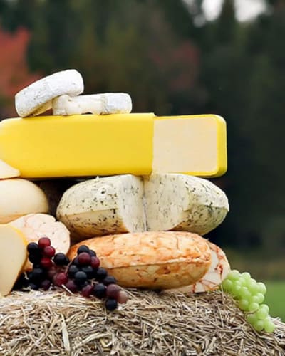 fromagerie_du_petit_plaisir_1
