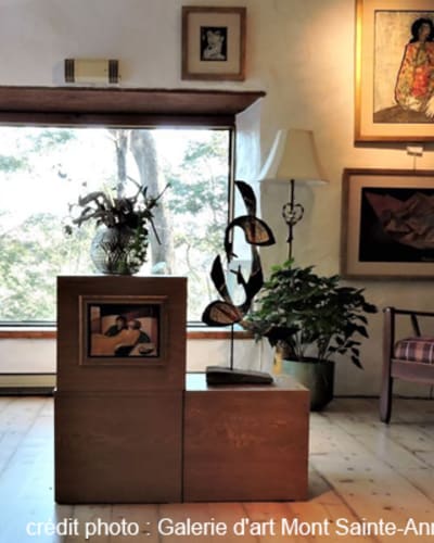 galerie_dart_mont_sainte_anne_1