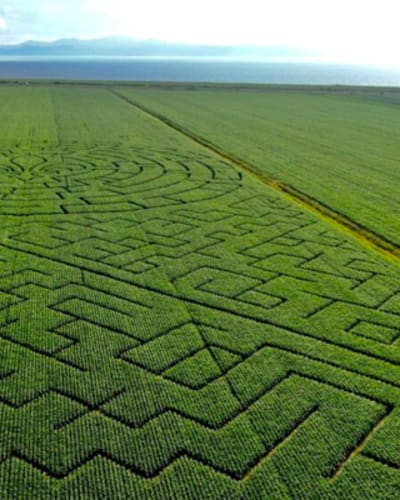 grand_labyrinthe_kamouraska_1