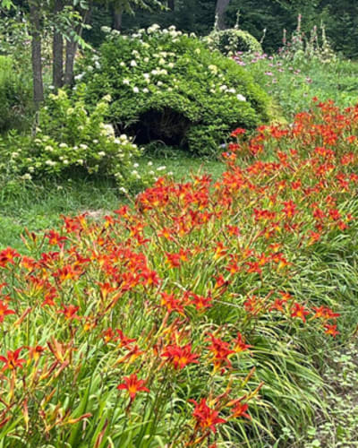 jardin_ceres_1