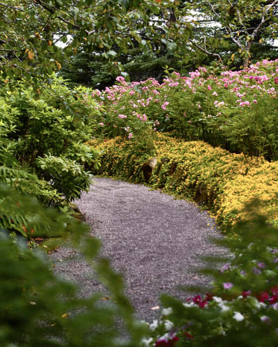 jardins_de_metis_1