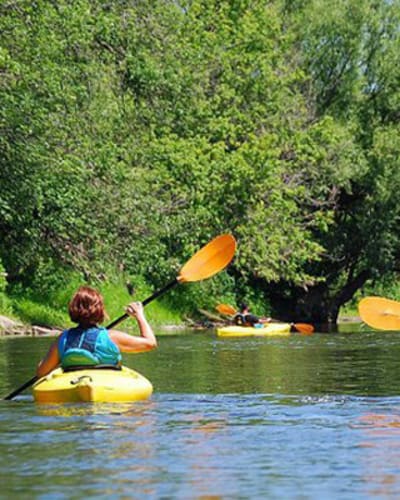 kayak_safari_1