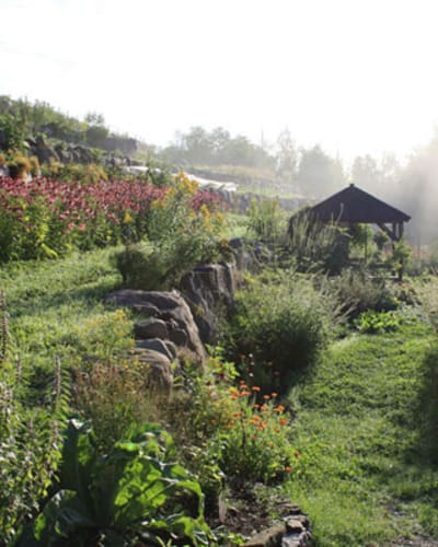la_clef_des_champs_herboristerie_1
