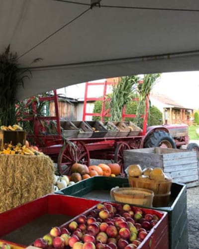 la_magie_de_la_pomme_1