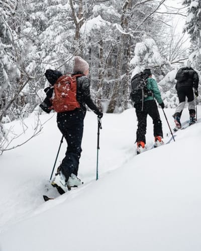 la_randonnee_alpine_dans_brome_missisquoi_1_h