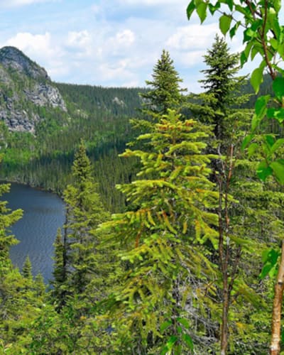 La Traversée de Charlevoix