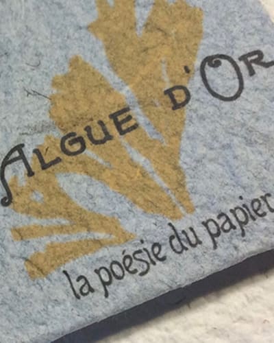 lalgue_dor_1