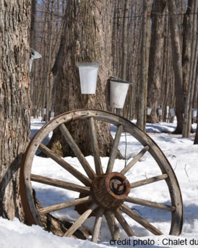le_chalet_du_ruisseau_inc_1