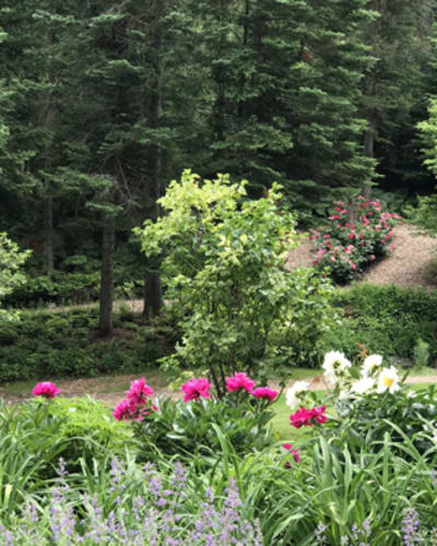 le_jardin_de_francois_1