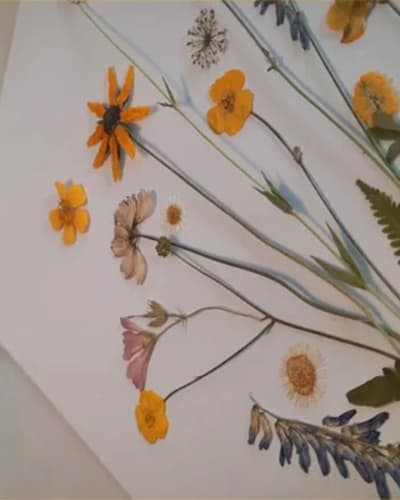 les_cantons_fleuris_1